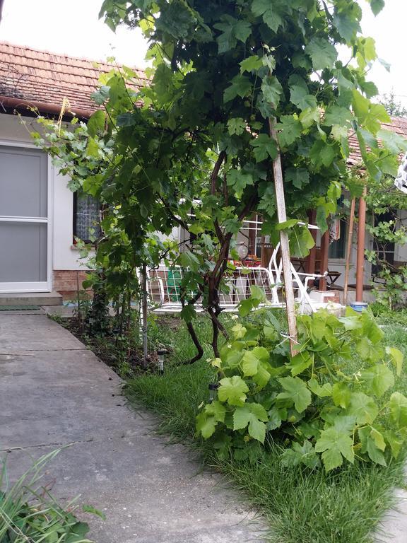 귤러 Boris Apartman 아파트 외부 사진